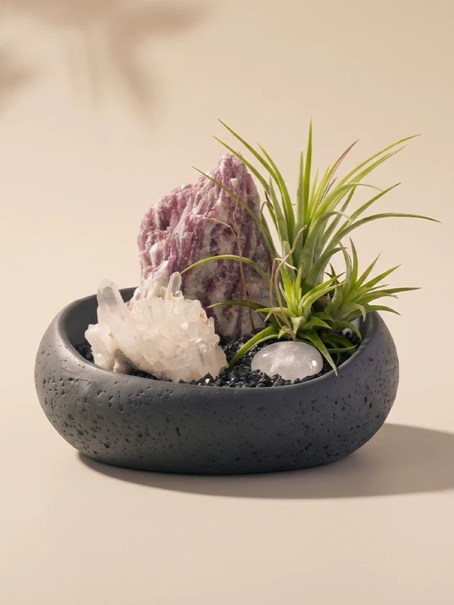 A violet-toned natural crystal arrangement with an air plant in a dark bowl